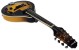 Chord CEM28-TSB Electric Mandolin (174.502UK), Tobacco Sunburst