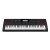 Casio CT-X3000 Electronic Keyboard