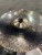 Turkish Zilzen Cymbals Adastra Ride, 22"