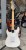 Chord CAL63 Standard Electric Guitar, Arctic White, Maple