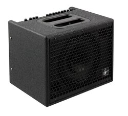 Udo Roesner Da Capo Acoustic Amplifier