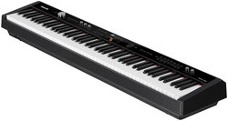 Nux NPK-20 Professional Digital Piano NPK-20