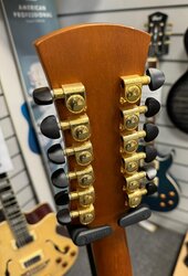 Faith Fs12hg 12 String With Case - Used