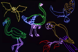 Citronic RGB Text Smart Animation Laser