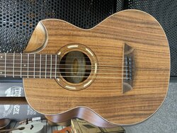 Washburn WCGM-55K