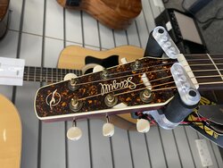 Seagull M6 Acoustic Guitar, Ruby Red, Ex Display