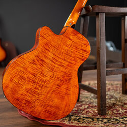 Washburn Was-wcg12fce, Sunburst
