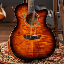 Washburn Was-wcg12fce, Sunburst