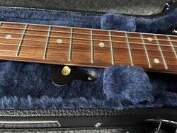 Freestyle Les Paul Guitar Hard CaseCase