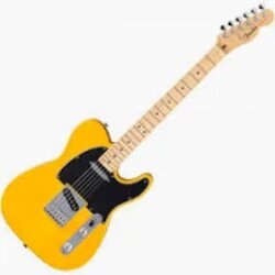 Fender Standard Telecaster Butterscotch Blonde