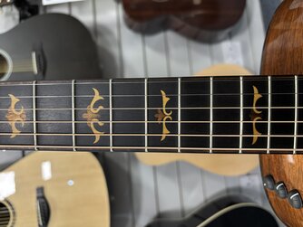 Taylor 516e Custom Electro Acoustic - Used