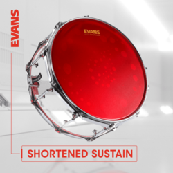 Evans Hydraulic Blue Drum Head, 16” Tt16hb