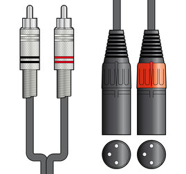 Citronic Classic Audio Lead 2 RCA Plugs - 2 XLR Male 3.0m 2R-2XM300 (190.059UK)