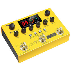 Dual Loop Stereo Pedal
